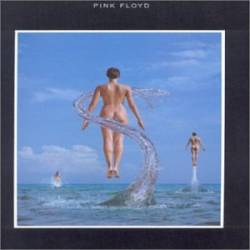 Pink Floyd : Shine On